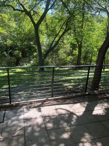 2200 Park Blvd, Plano, TX 75075-3007