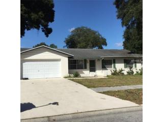 1117 Melrose St, Seffner, FL 33584-4507