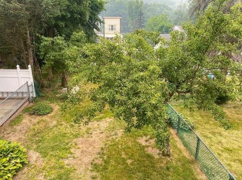 228 Howard Ave, Coaldale PA  18218-1429 exterior