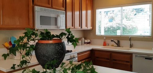 120 Carriage Ln, Grass Valley CA  95949-9509 exterior