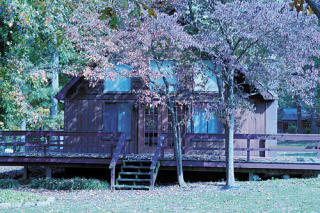 157 Tango Dr, Madisonville, TN 37354-7613