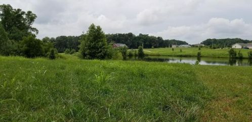 804 Bilbrey Rd, Rickman, TN 38580-1966