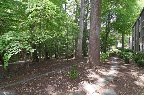 11727 Ledura Ct, Herndon VA  20191-2339 exterior