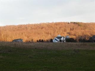 3907 County Highway 16, West Delhi, NY 13753-3147