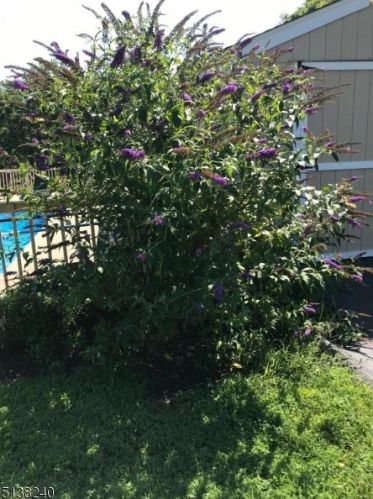 434 Buckhorn Dr, Belvidere NJ  07823-2707 exterior