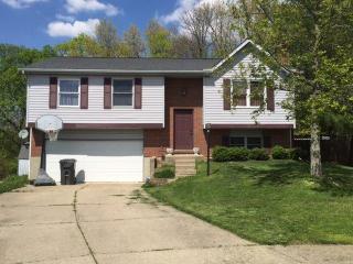 38 Paul Ln, Grants Lick, KY 41001-1124