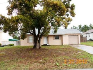 1289 Herndon Ave, Deltona, FL 32725-9046