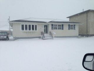540 211th St, Dyer, IN 46311-1420