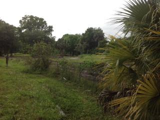 6635 Old Tampa Hwy, Davenport, FL 33896-9106