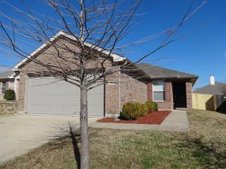 1925 Sampsell Dr, Grand Prairie TX  75051-7421 exterior