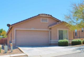 13242 Mineta Ridge Dr, Santa Rita AZ  85641-2520 exterior