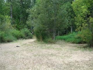 34319 Tanwax Dr, Alder, WA 98328-8689