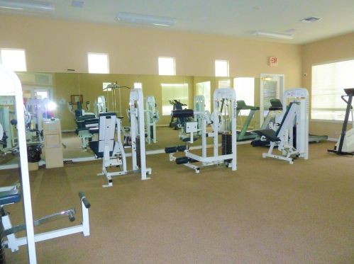 4209 Woodstorks Walk Way, Lutz FL  33558-2775 exterior