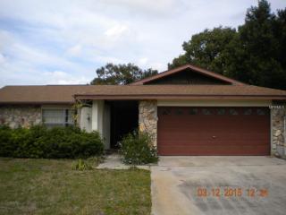 7803 Rusty Hook Ct, Port Richey, FL 34667-1461