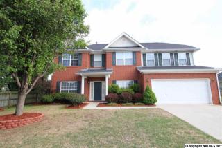 226 Gdn Brk Dr, Madison AL  exterior