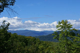 347 Pretty Precious Ln, Whittier, NC 28789-6208