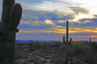 25579 88th Way, Scottsdale, AZ 85255-2227