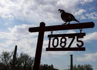 10875 Sandra Rd, Tucson, AZ 85742-9707