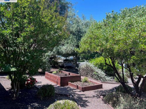 972 Amarillo Ave, Palo Alto, CA 94303-3701