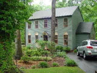 13206 Heritage Wood Pl, Midlothian VA  23112-4757 exterior