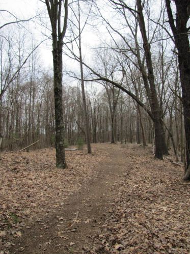 24480 Bushby Rd, Laurelville OH  43152-9712 exterior