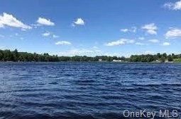 134 Highland Lake Rd, Highland Lake NY  12743-5109 exterior