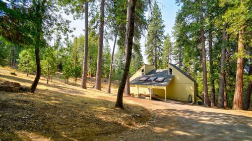 4414 Sierra Springs Dr, Pacific House, CA 95726-9446