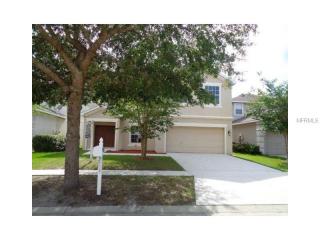 11221 Creek Haven Dr, Riverview, FL 33569-6209