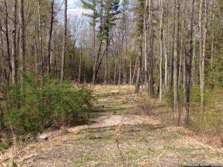 15 Tardon Rd, Leibhardt, NY 12404-5446