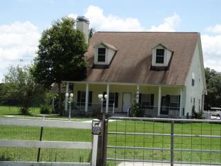 909 Country Oaks Ln, Lakeland, FL 33810-8116
