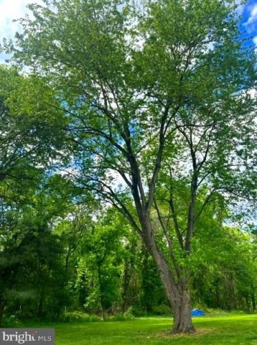 12134 Baylor Ln, Madison Mills VA  22960-1935 exterior