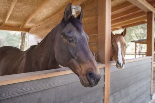 10555 Watsonville Rd, Gilroy CA  95020-9433 exterior