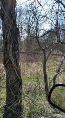 5733 County Road 70, Putnamville, IN 46170-0705