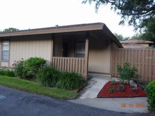 851 Creekway Ct, Brandon, FL 33511-7319