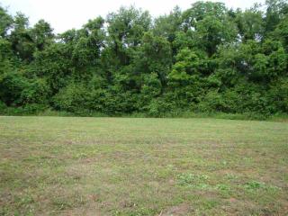 212 Chronicles Dr, Medina, TN 38355-8816