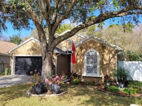 329 Tavernier Dr, Oldsmar, FL 34677-4624