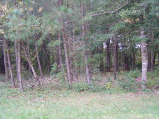 22 Greenwood Dr, Onley, VA