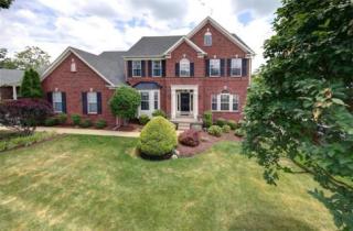 9906 Fringe Tree Ct, Louisville, KY 40241-3042