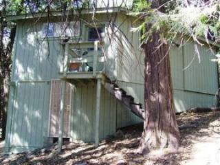 41778 Muskrat Ln, Pineridge, CA 93602-9569
