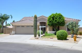 2402 Detroit Ct, Chandler, AZ 85225-4146