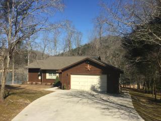 1230 Shorewood Ln, Caryville, TN 37714-3766