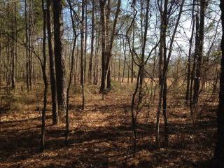 1016 Pond Valley Rd, Blythewood, SC 29016-8231