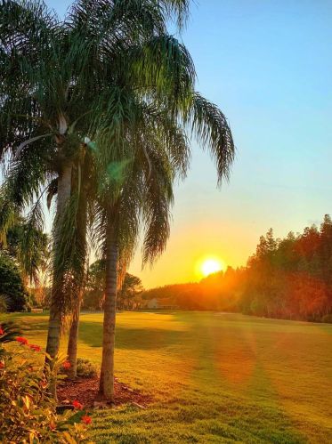 18914 Place Marquette, Lutz FL  33558-5312 exterior