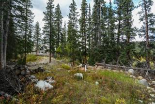 897 Pinon Ln, Twin Rock, CO 80816-8920