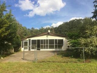 19524 Sunset Strip, Altoona, FL 32702-9217