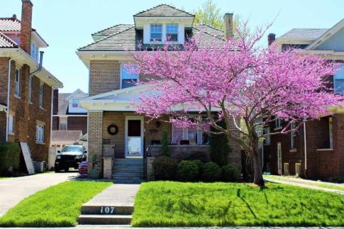 107 10th Ave, Huntington, WV 25701-2720