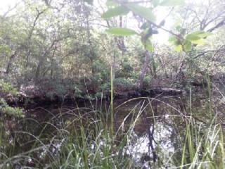 245 Carol Dr, Freeport FL  32439-4664 exterior