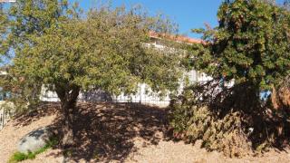 34250 Olive Grove Rd, Wildomar CA  92595-9129 exterior
