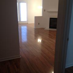 1104 Blinken St, Knoxville TN  37932-2583 exterior