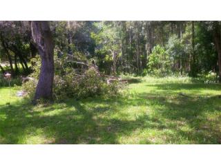 17324 Ridgeline Trl, Port Richey, FL 34667-4969